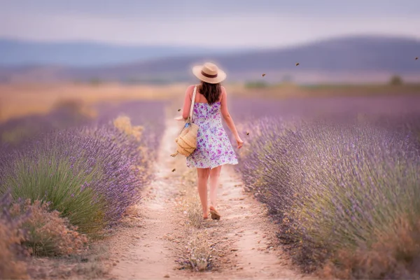 Best Time to Visit France: Weather, Crowds & What to Expect