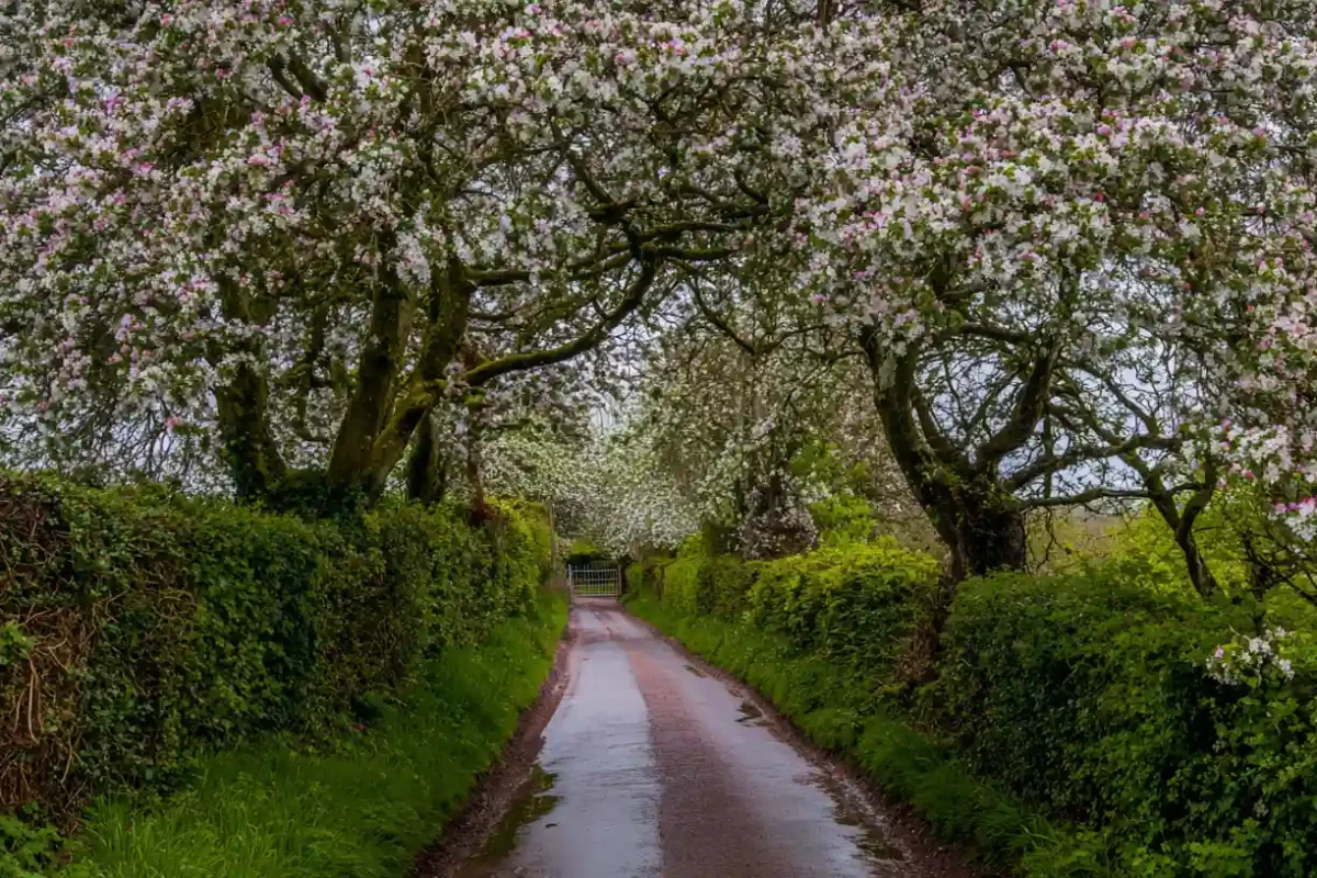 Normandy Hidden Gems: Six Places Most Visitors Drive Past Without Stopping