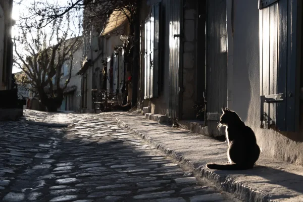 Best Time to Visit Provence: An Honest Month-by-Month Guide (2026)