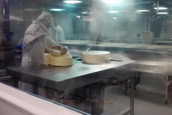Camembert Village and the Calvados Route: A Full Day in the Pays d’Auge That’s Actually About the Food